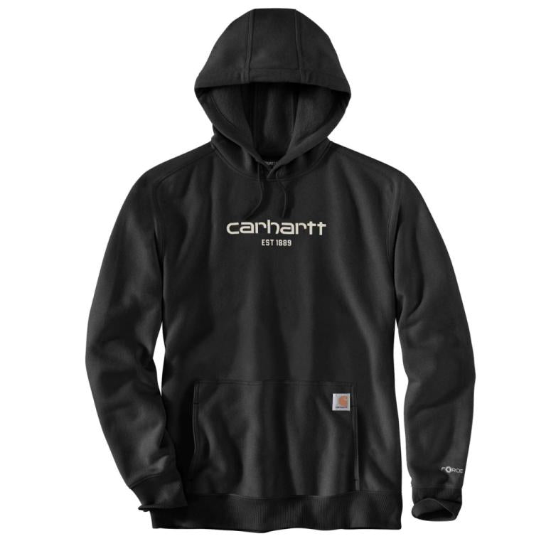 Carhartt Lightweight Logo Graphic Hoodie
